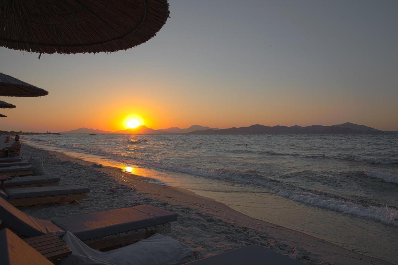Philippos & Alexandros Apartments Τιγκάκι Εξωτερικό φωτογραφία